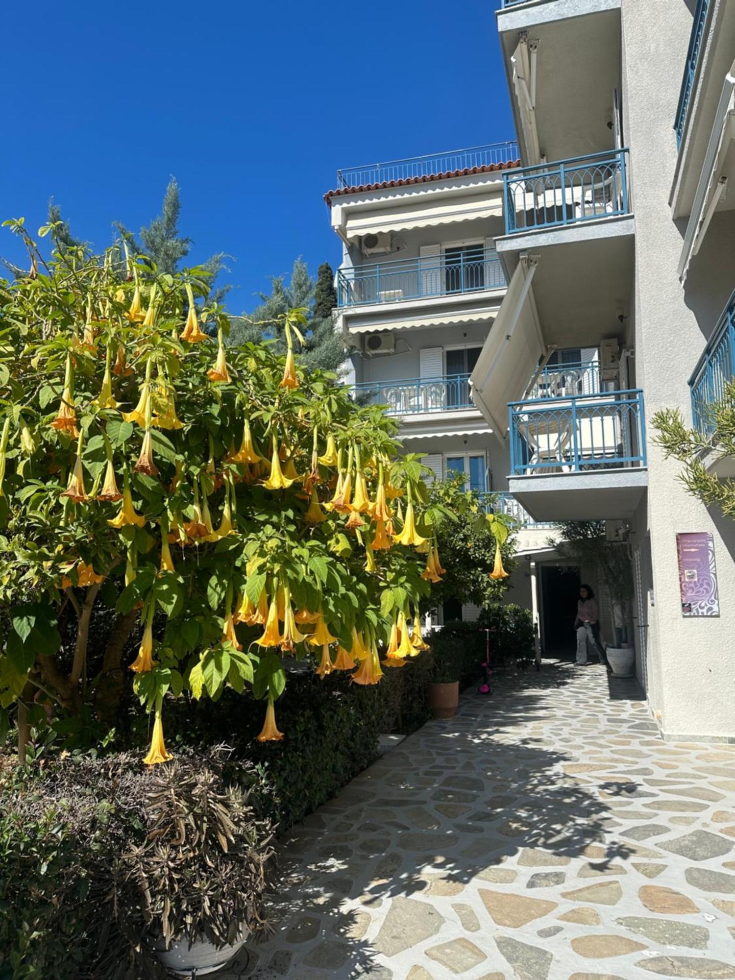 Drossinos Studios Poros Town ภายนอก รูปภาพ