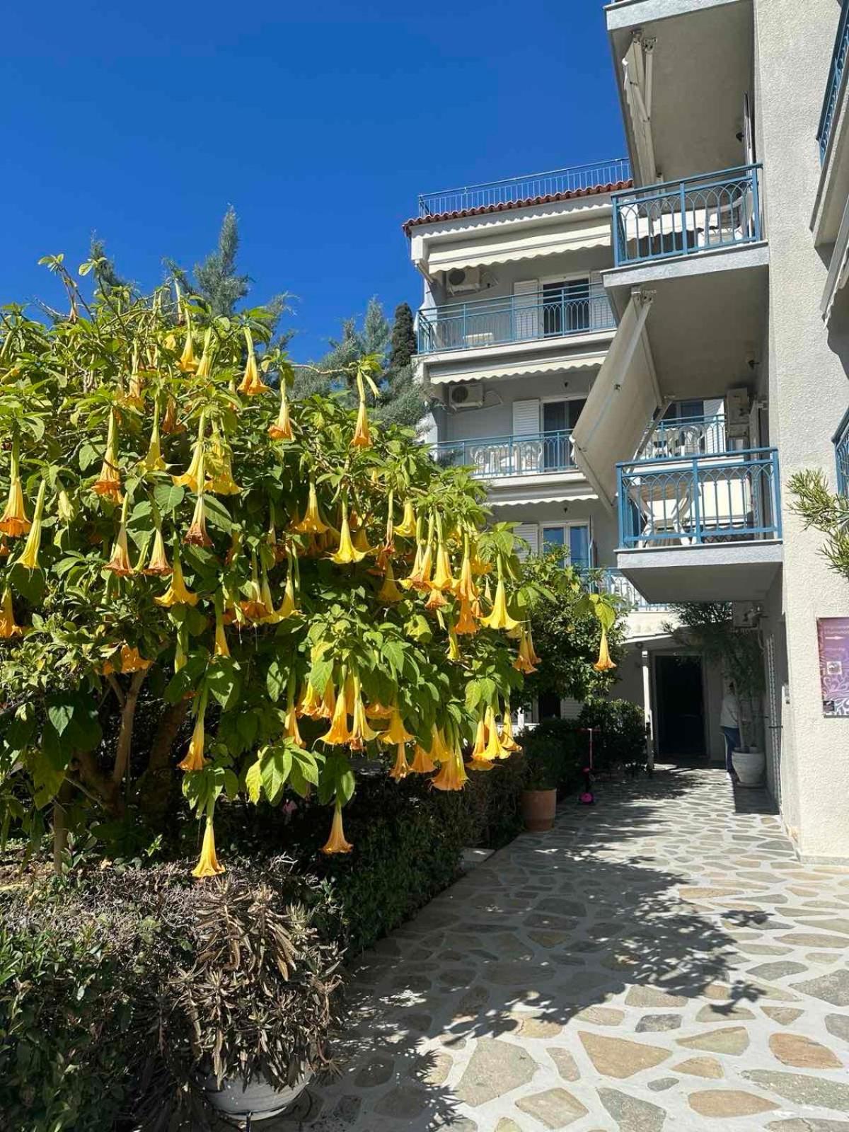 Drossinos Studios Poros Town ภายนอก รูปภาพ